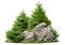 Cutout rock surrounded by pine trees