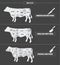 Cuts of beef. American, english and french method.