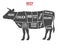 Cuts of Beef. Poster Butcher diagram. Cow silhouette isolated. Meat cuts. Beef cutting scheme. vector