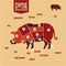 Cuts of pork in color. Swine butchery diagram. Barbecue,. Pork meat cuts.