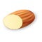 Cutted almond icon, realistic style