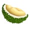 Cutted half durian icon, cartoon style