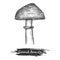 Cutted mushroom or shroom with cap sketch