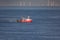 A cutter with lifted drag nets on the North sea with wind turbines in the background