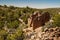 Cutthroat Castle - Hovenweep