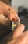 Cutting claws of pomeranian dog
