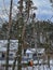 Cutting and felling trees near houses using the manual climbing method