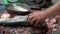 Cutting the head of a fresh fish for selling in the streets of Hanoi, Vietnam