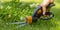 Cutting lawn with scissors in hard-to-reach places, gardener professional