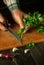 Cutting parsley with a knife on a cutting board. Cooking vegetable salad in the kitchen by the hands of a cook. The idea of a