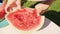 Cutting watermelon slices on a picnic