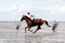Cuxhaven, Germany - Aug 25, 2019: equestrian at the horse race in the mud flat at Duhner Wattrennen