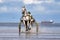 Cuxhaven, Germany - July 22, 2018: equestrian at the horse race in the mud flat at Duhner Wattrennen