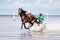 Cuxhaven, Germany - July 22, 2018: equestrian at the horse race in the mud flat at Duhner Wattrennen