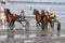Cuxhaven, Germany - July 22, 2018: equestrian at the horse race in the mud flat at Duhner Wattrennen