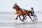 Cuxhaven, Germany - July 22, 2018: equestrian at the horse race in the mud flat at Duhner Wattrennen