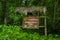 CUYABENO, ECUADOR - NOVEMBER 16, 2016: An informative wooden sign about the Cuyabeno National Park, depth of Amazon