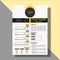 A cv template to apply for jobs. and white yellow