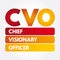 CVO - Chief Visionary Officer acronym