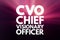 CVO - Chief Visionary Officer acronym, business concept background