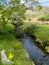 Cwm Pennant stream and log