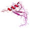 CXCL1 cytokine (AKA melanoma growth-stimulatory activity), chemical structure. Implicated in the pathogenesis of melanoma skin