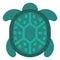 Cyan turtle, icon