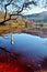 Cyanide lake at Geamana Romania