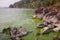 Cyanobacteria in Taihu lake