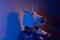 Cyber Punk Unicorn Mask on a woman body surrounded by blue and orange light