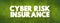 Cyber Risk Insurance text quote, concept background