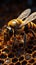 Cybernetic bee on honeycomb background