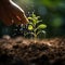 Cycle of nature Hand sprinkles soil on green bokeh, planting or remembrance concept