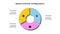 Cycle neobrutalism diagram divided into 3 sectors. Circle infographic design template