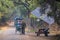 Cycle rickshaw walking in Keoladeo Ghana National Park in Bharat