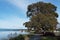 Cycle track and footpath along Motueka\\\'s waterfront