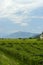 Cycleway along the Adige river from Rovereto to Trento