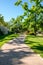 Cycleway a ground bikeway for cyclists. Bike lane between trees in Turia Garden in Valencia Spain