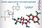 Cyclic adenosine monophosphate cAMP molecule, it is a derivati