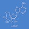 Cyclic adenosine monophosphate cAMP second messenger molecule. Plays role in intracellular signal transduction. Skeletal formula