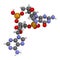 Cyclic guanosine monophosphate-adenosine monophosphate (2',3'-