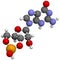 Cyclic guanosine monophosphate (cGMP) molecule. Important second messenger, produced by guanylate cyclase, broken down by