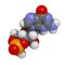 Cyclic guanosine monophosphate (cGMP) molecule. Important second messenger, produced by guanylate cyclase, broken down by