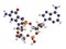 Cyclic guanosine monophosphateâ€“adenosine monophosphate (2\\\',3\\\'-cGAMP) molecule. 3D rendering. Atoms are represented as spheres