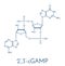 Cyclic guanosine monophosphateâ€“adenosine monophosphate 2`,3`-cGAMP molecule. Skeletal formula.