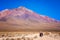 Cycling through Altiplano