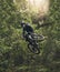 Cycling, bicycle jump and sports man travel in Japan nature forest for adventure and extreme sport journey. Trees, stunt