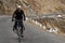 Cycling in the Himalayas