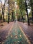 Cycling pathway during autumn time - leaves on the ground