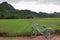 Cycling through Phong Nha Ke Bang National Park Vietnam